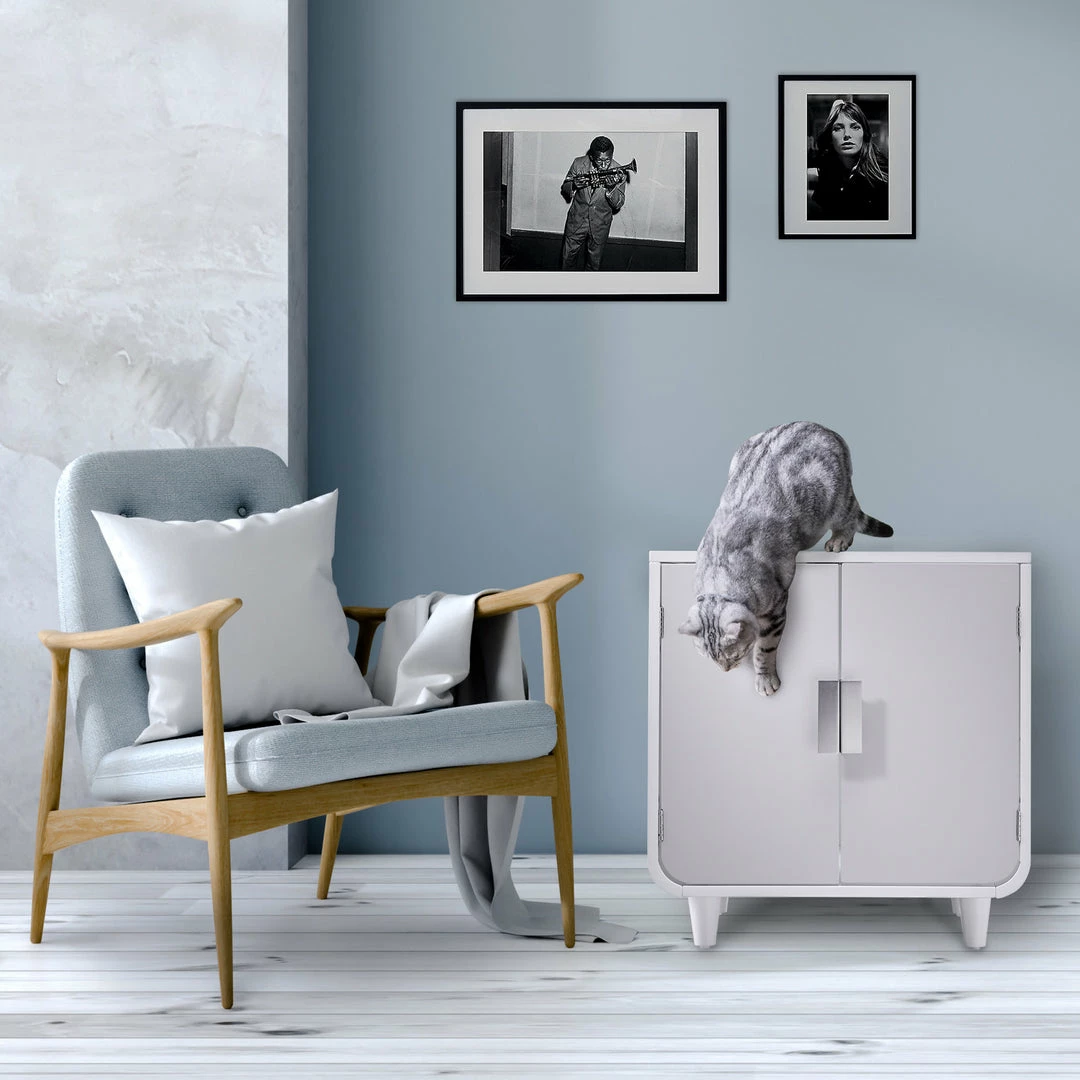 TeamsonUS Teamson Pets Dyad Wooden Cat Litter Box Enclosure And Side Table, Alpine White