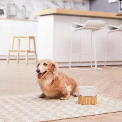 TeamsonUS New Teamson Pets Billie Raised Dishwasher Safe Ceramic Pet Bowl With Bamboo Stand