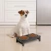 TeamsonUS Teamson Pets 6.5" Pet Dog Feeder With 2 Stainless Steel Bowls, Espresso
