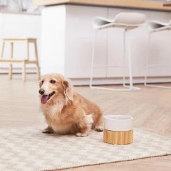 TeamsonUS New Teamson Pets Billie Raised Dishwasher Safe Ceramic Pet Bowl With Bamboo Stand
