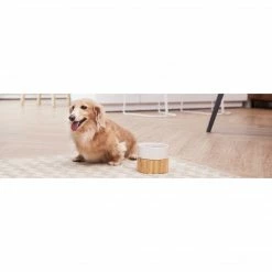 TeamsonUS New Teamson Pets Billie Raised Dishwasher Safe Ceramic Pet Bowl With Bamboo Stand